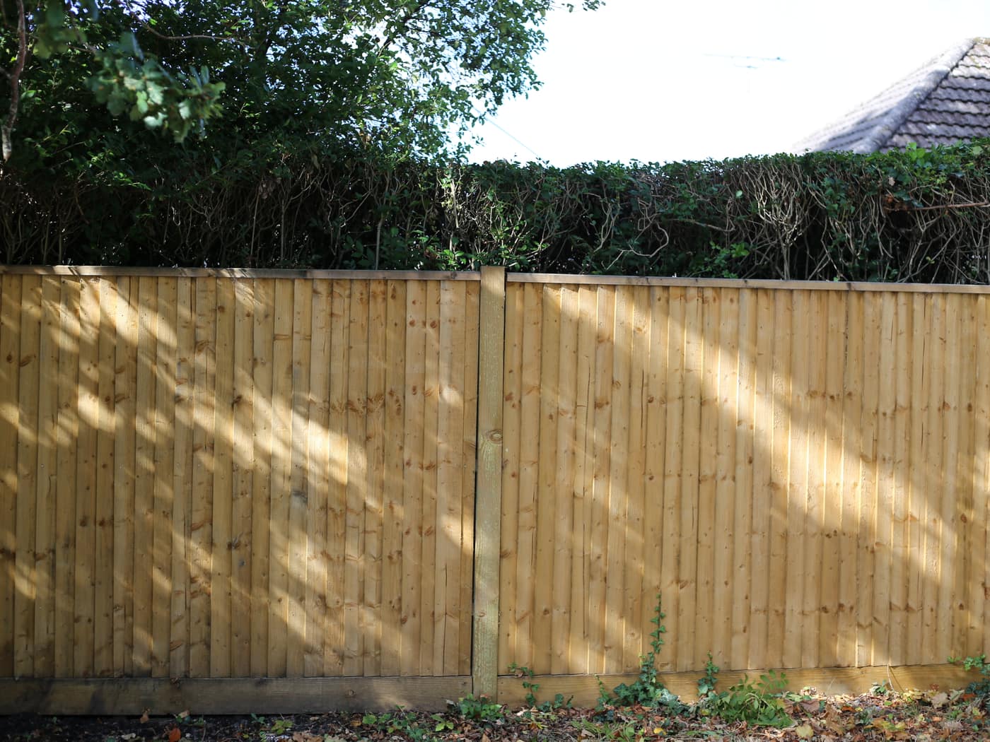 Closeboard boundary fence