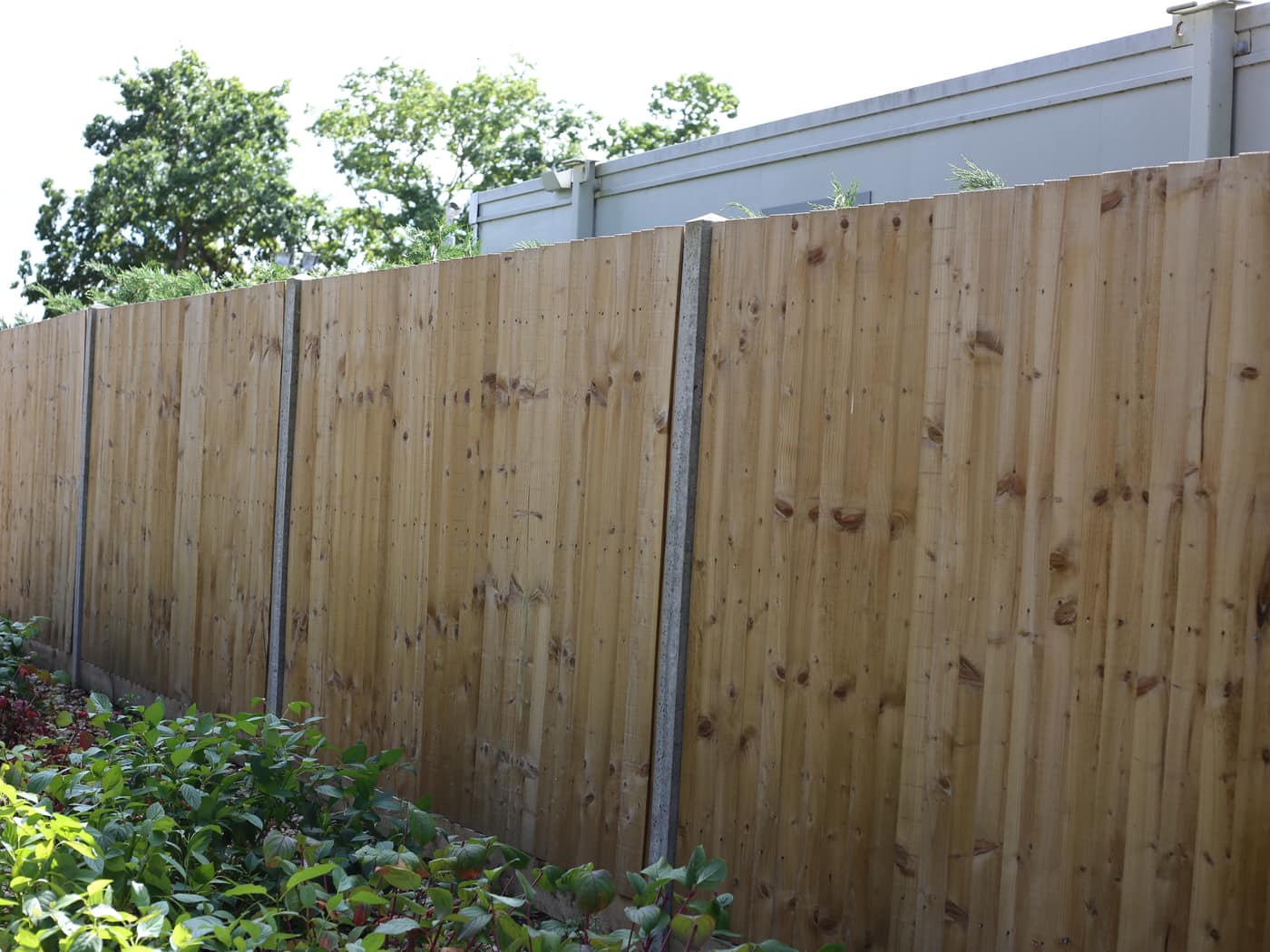 Tall closeboard privacy fence