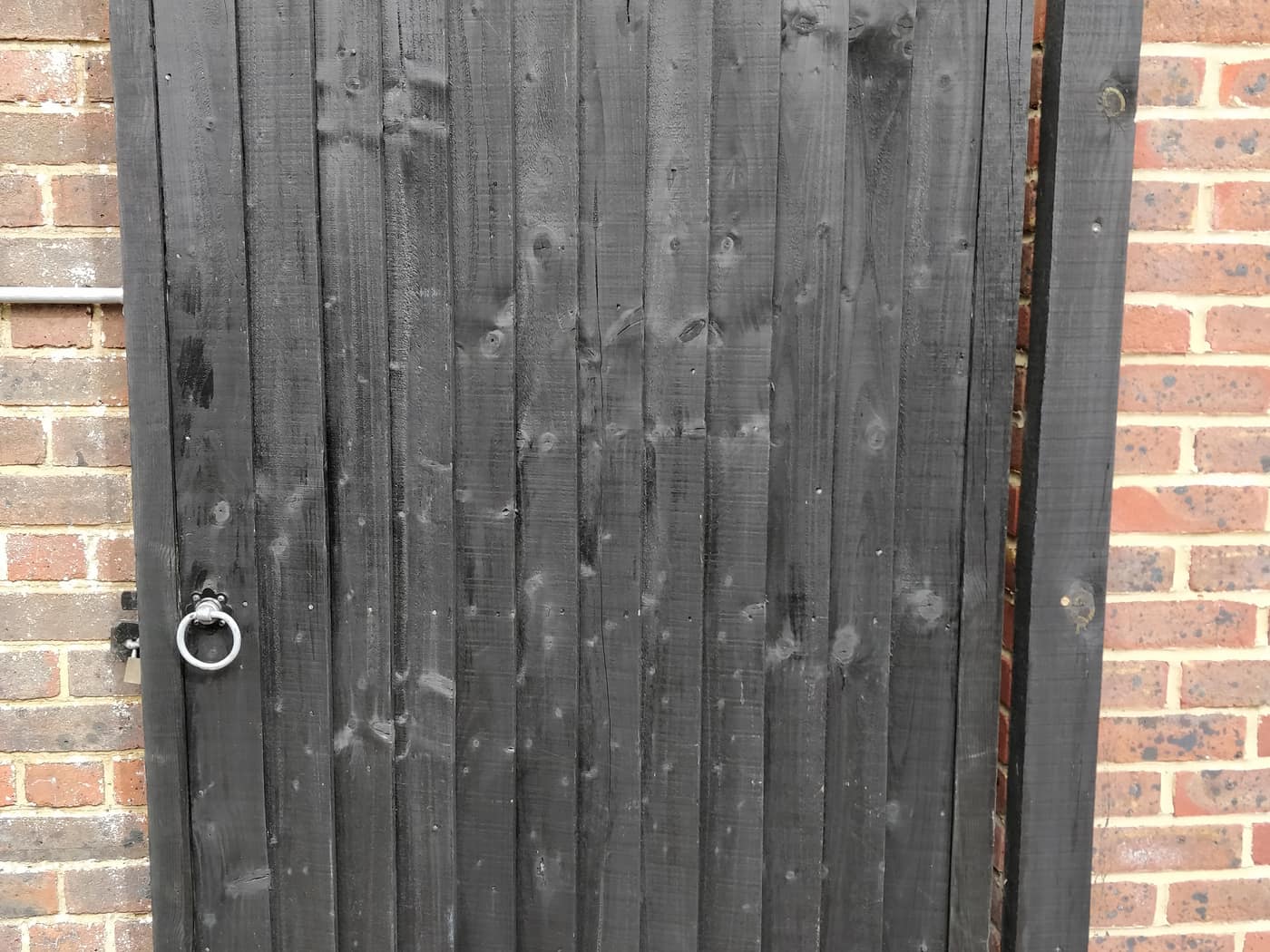 Painted side gate