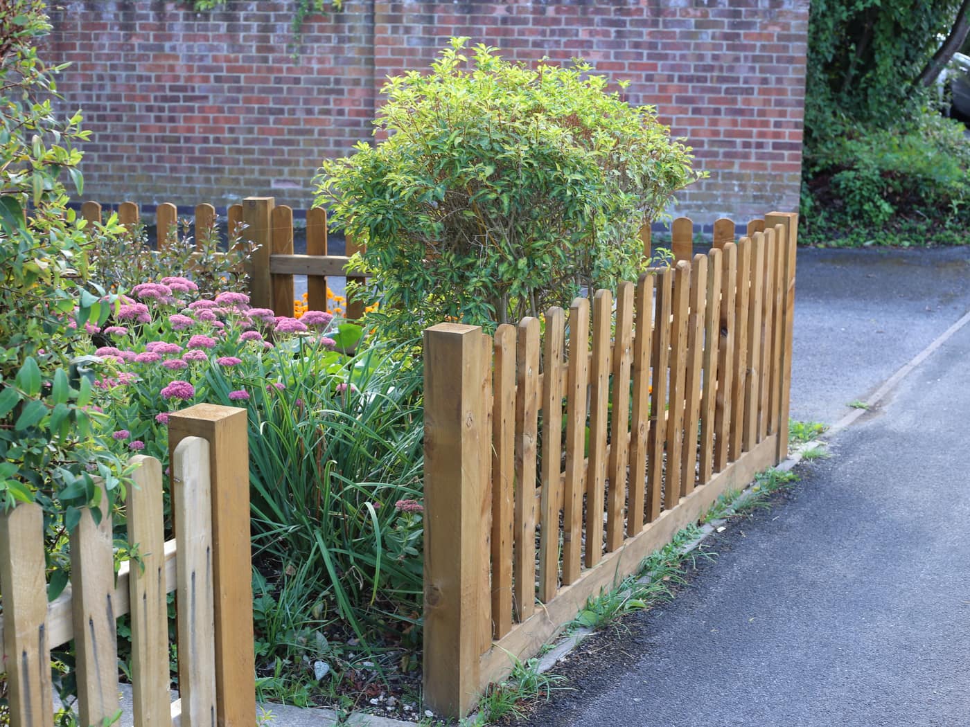 Low picket fence and planting