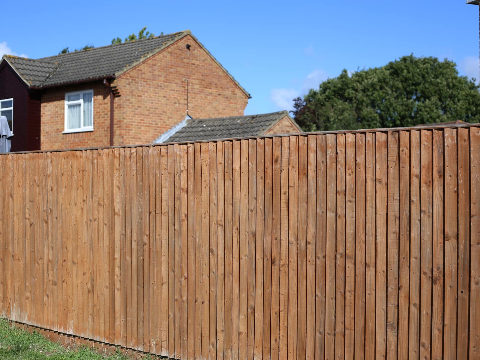 A new closeboard fence on concrete posts running along an Oxfordshire garden